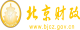 嘿人操百人网站北京市财政局